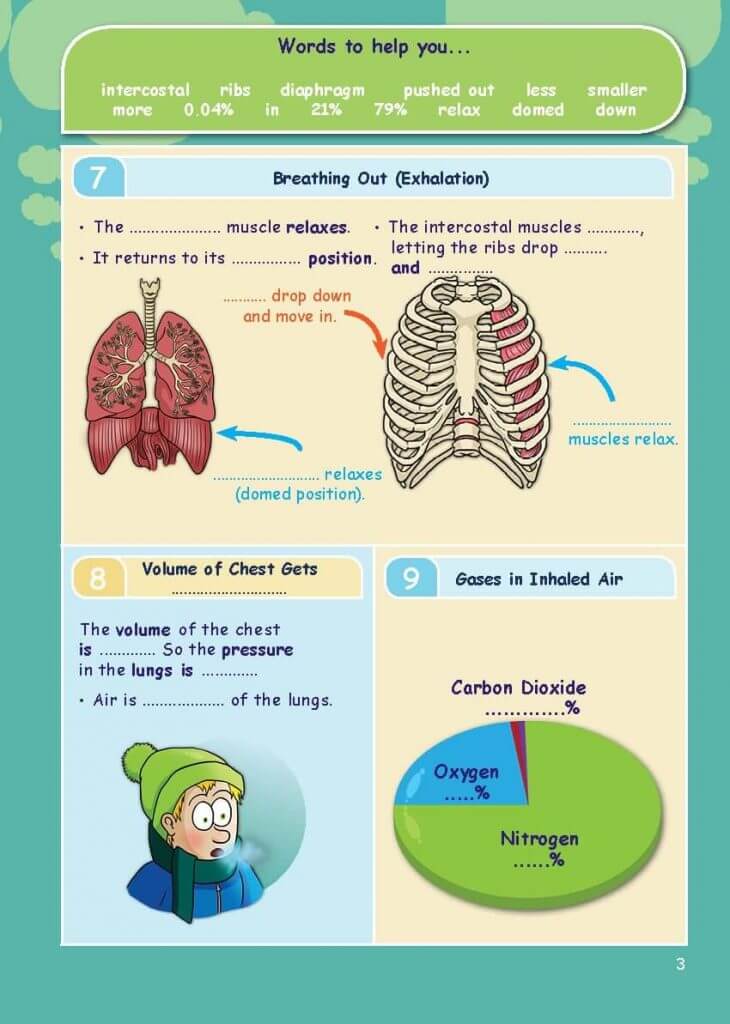 CE KS3 Biology: Breathing & Respiration | Resources For Dyslexics